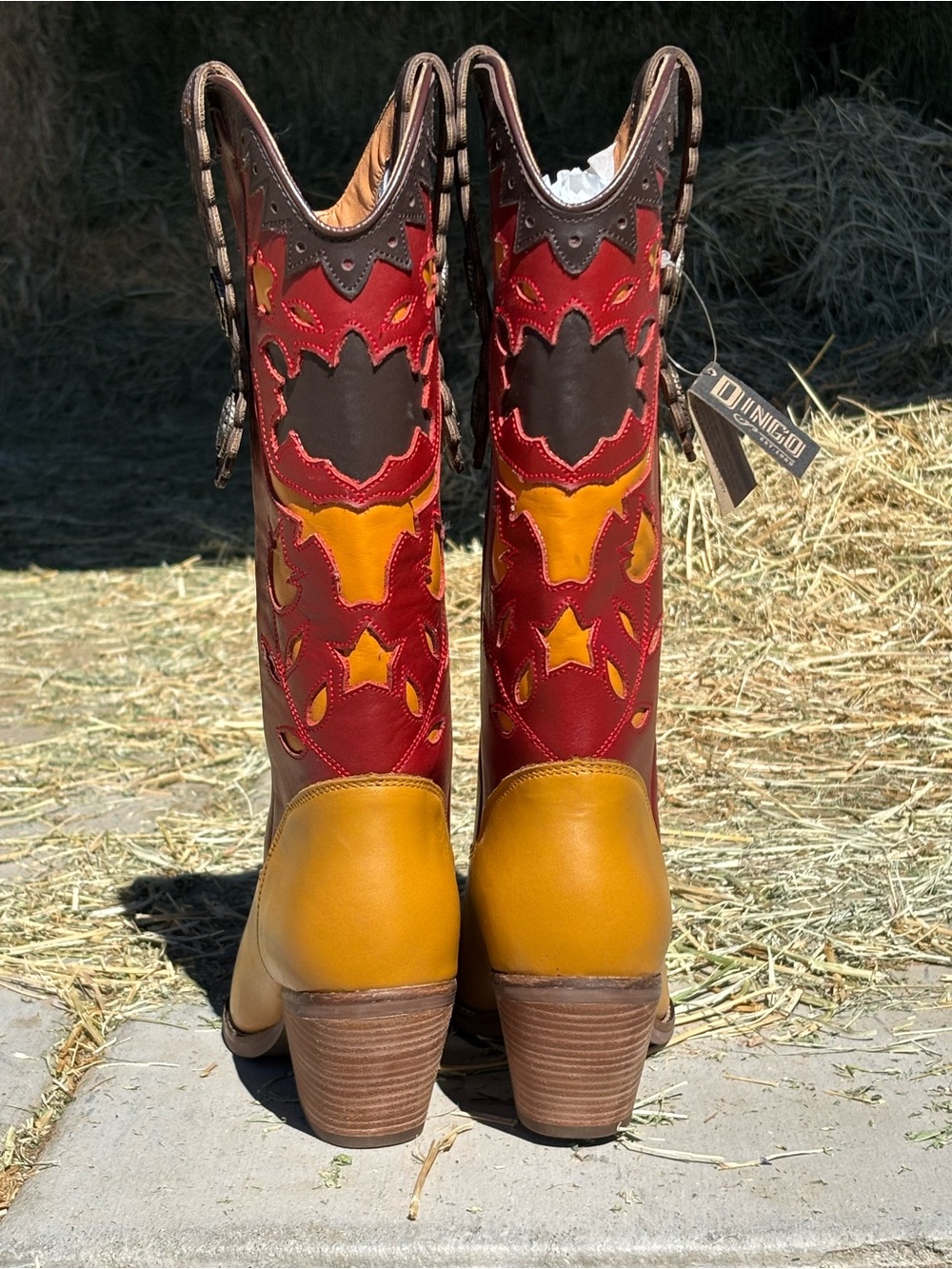 Dingo - Dancing Boots - Picture 4 of 6